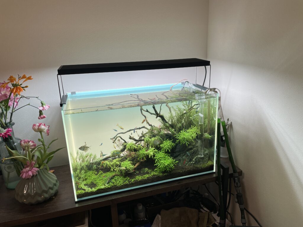 セール中】水槽ライトスクリーン60cm ×36cm 節約 esAqua 水槽LED