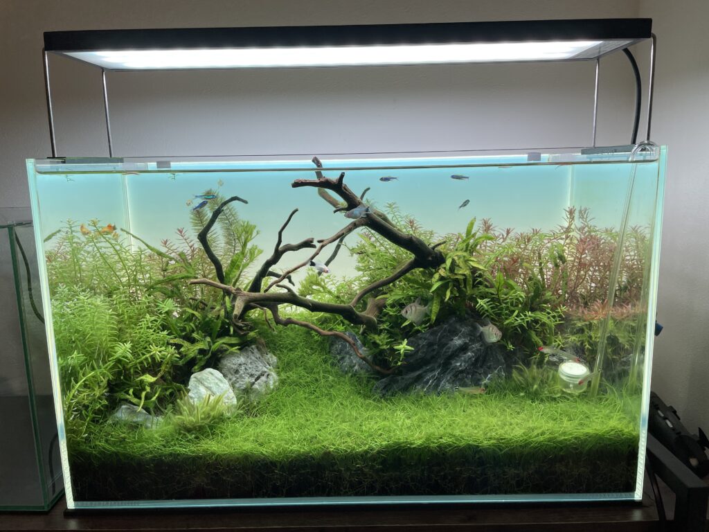 Chihiros WRGB2 60cm水槽用 ライトシェード付き 【公式通販】