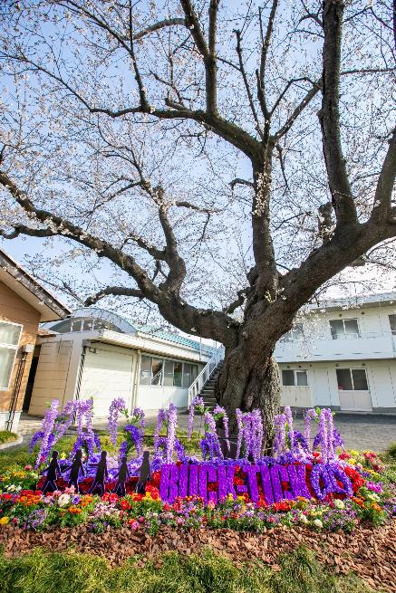 BUCK-TICK 2025 ガチャ(PVCバンド＆キーホルダー)&トランポ BUCK-TICK