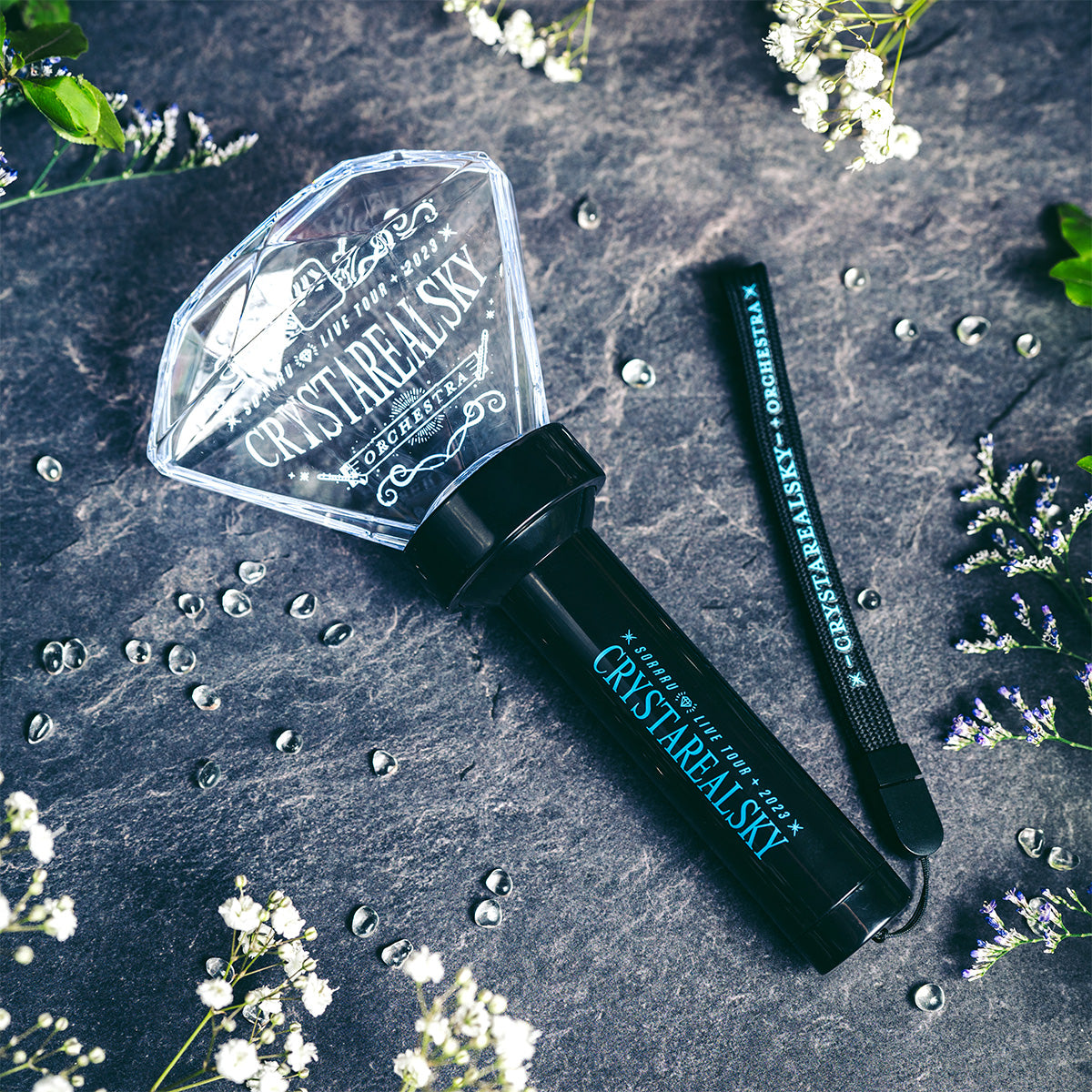 DSC05980.jpg?v=1689925228&