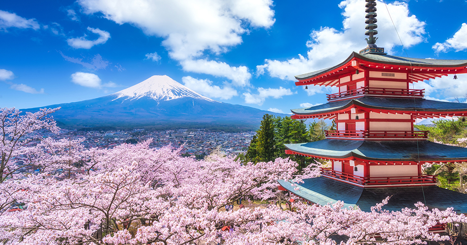 日本の古切手 日本とアメリカ さくら 13枚 日本の古切手 日本と