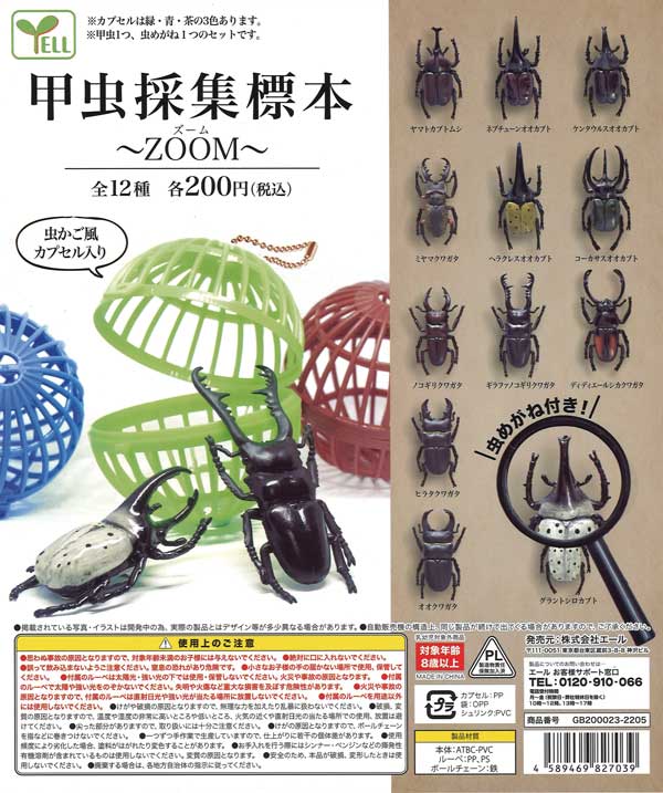 再販》甲虫採集標本～ZOOM～ （50個入り） | ガチャガチャ通販専門【あ
