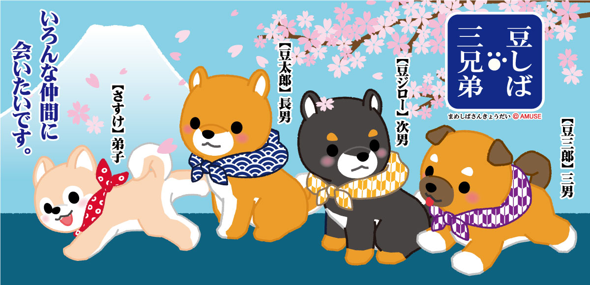 まるたま豆しば三兄弟レア含豆太郎 まるたま豆しば