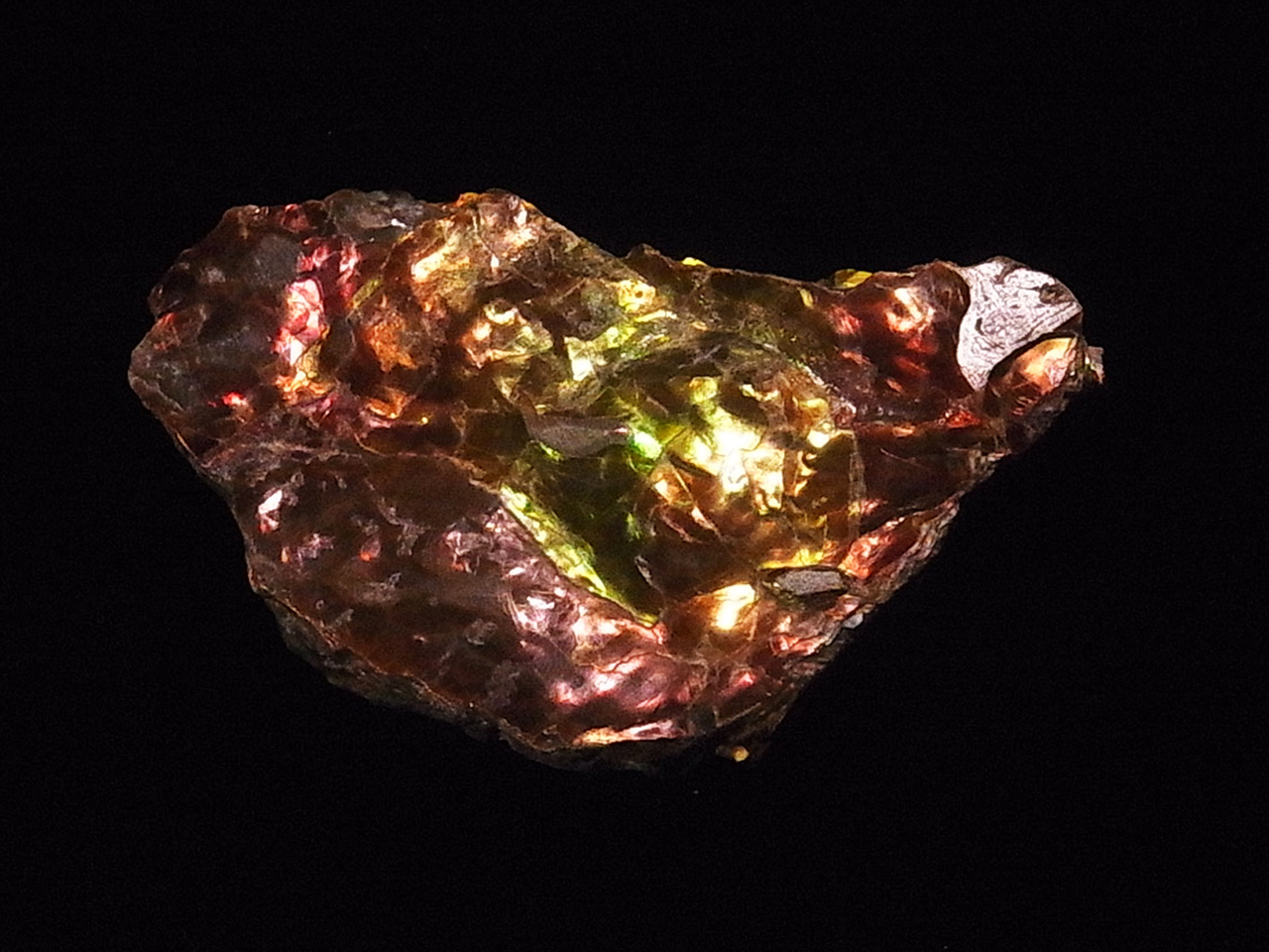 アンモライト無垢破片 ジュエリー宝石販売ルーム