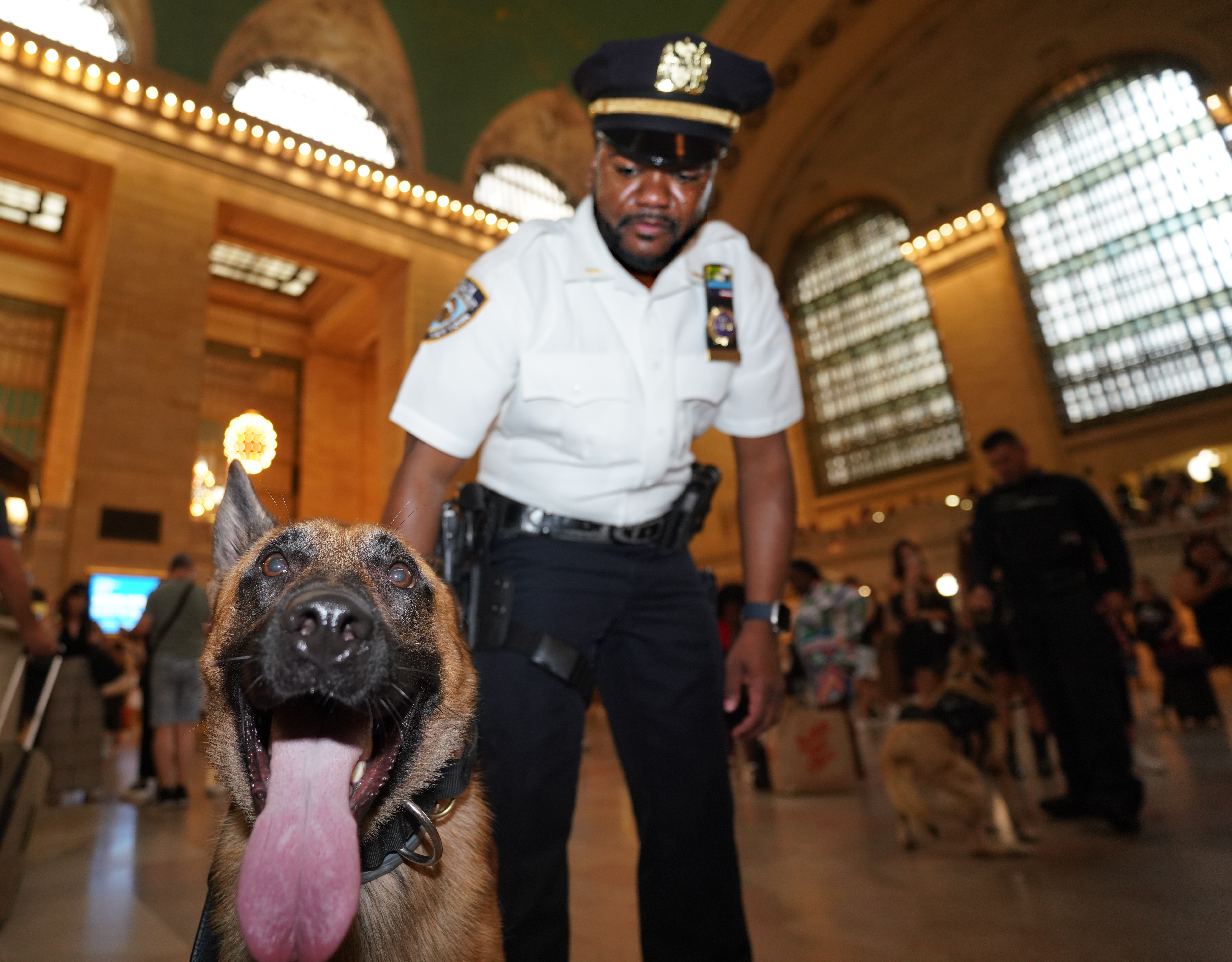 Discount nypd k9 unit Discount NYPD s K 9 Transit Team Keeps