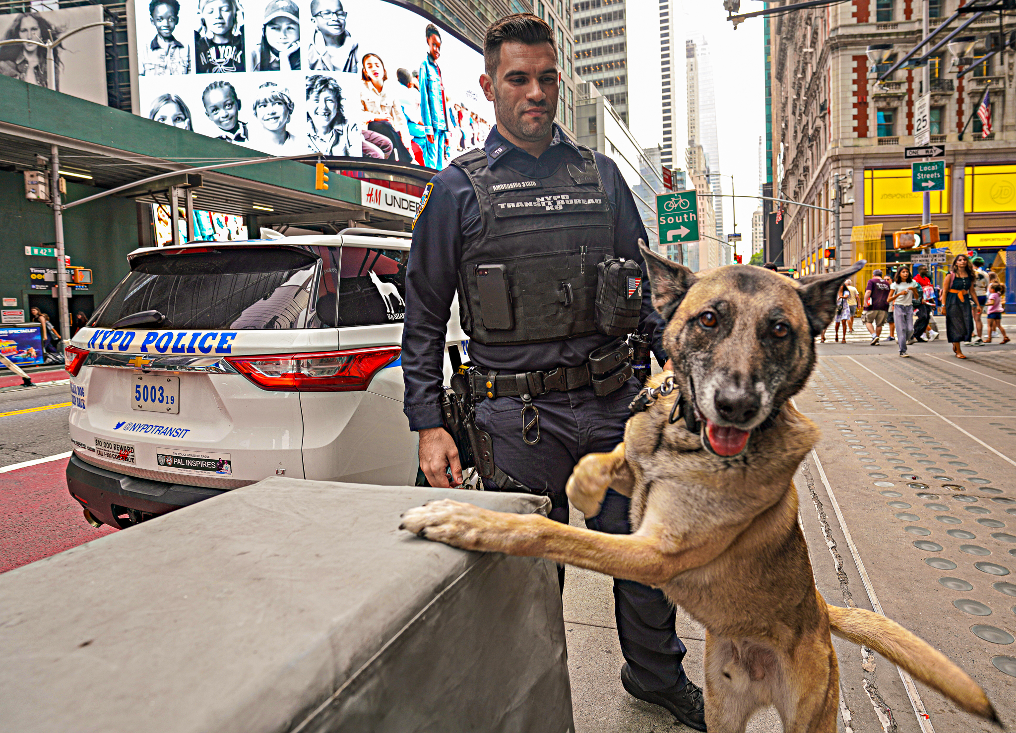 NYPD's K-9 Transit Team Keeps Subways Safe