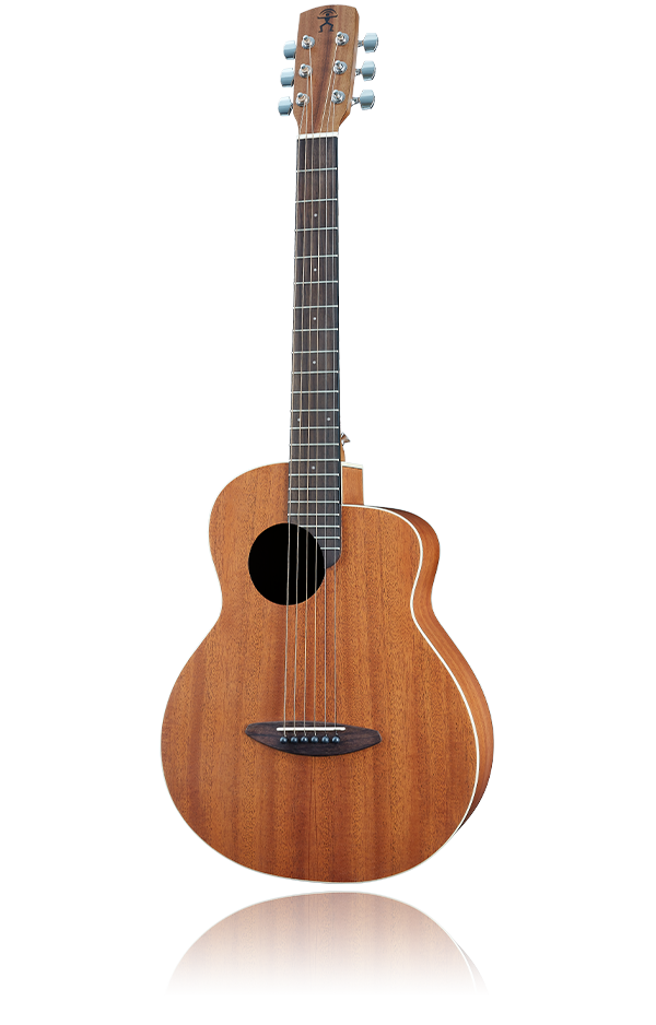 3.9万Airデュアルピックアップシステム付き】aNueNueアヌエヌエ M1 3.9