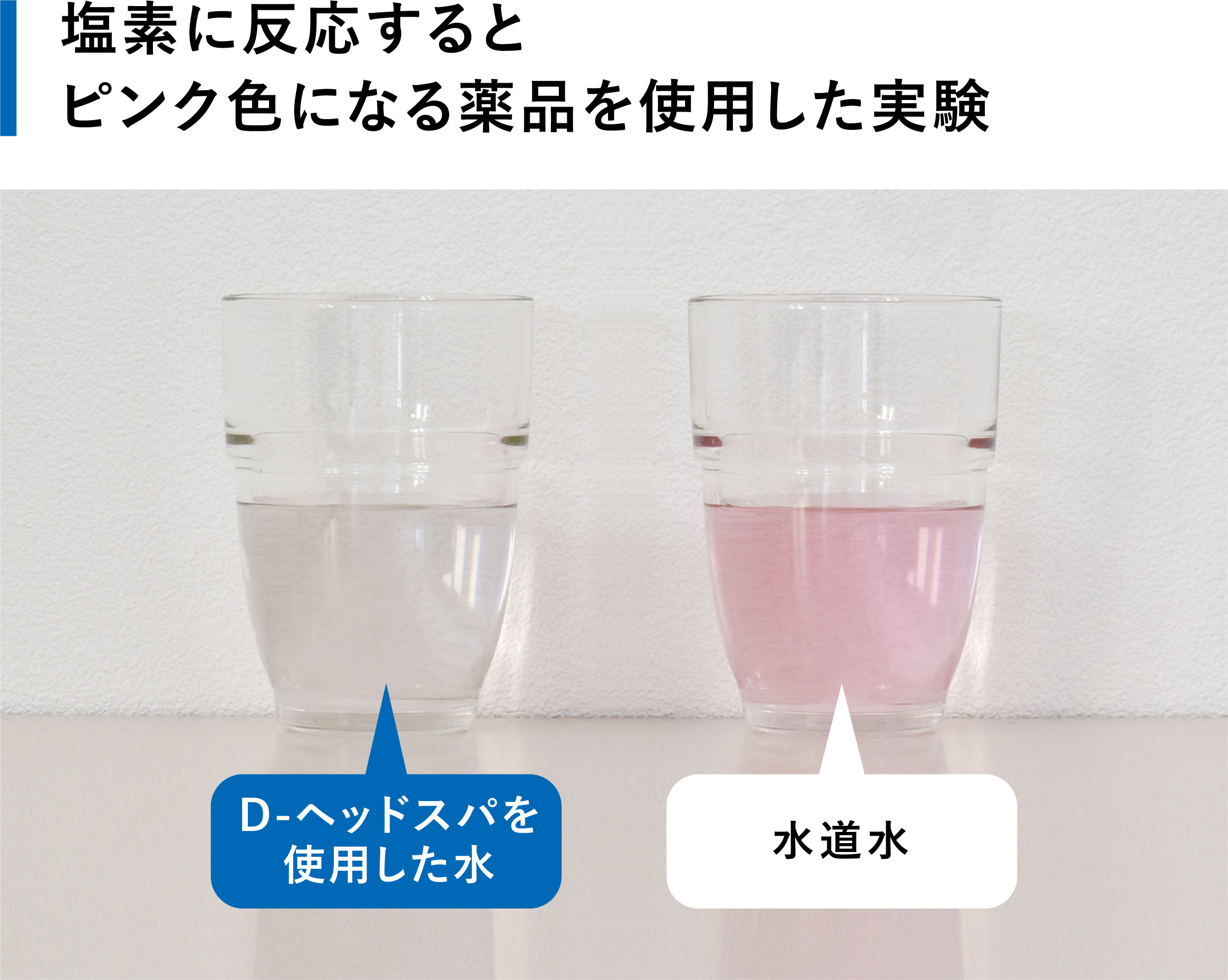 スカルプD×“奇跡のシャワーヘッド”と呼ばれたボリーナ 頭皮と髪に