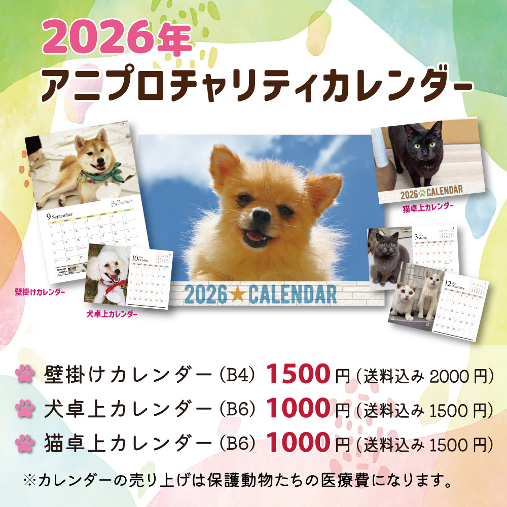 アニプロチャリティカレンダー予約販売開始！ | 一般社団法人アニプロ