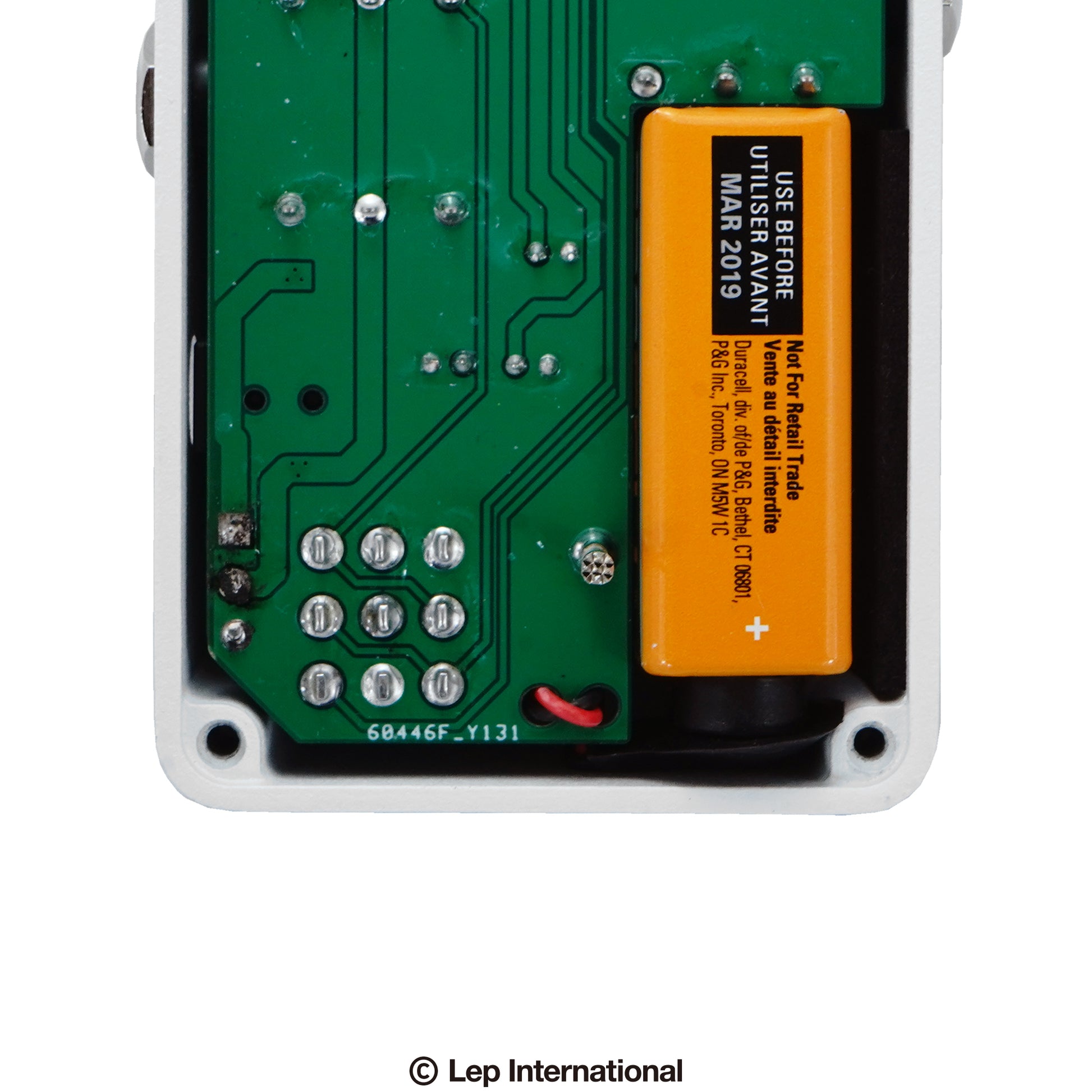 Animals Pedal RELAXING WALRUS DELAY