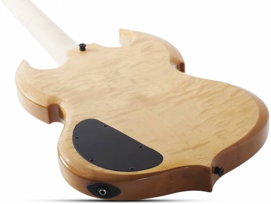 Schecter 4574-SHC Wylde Audio Barbarian Norse Dragon 6 String RH