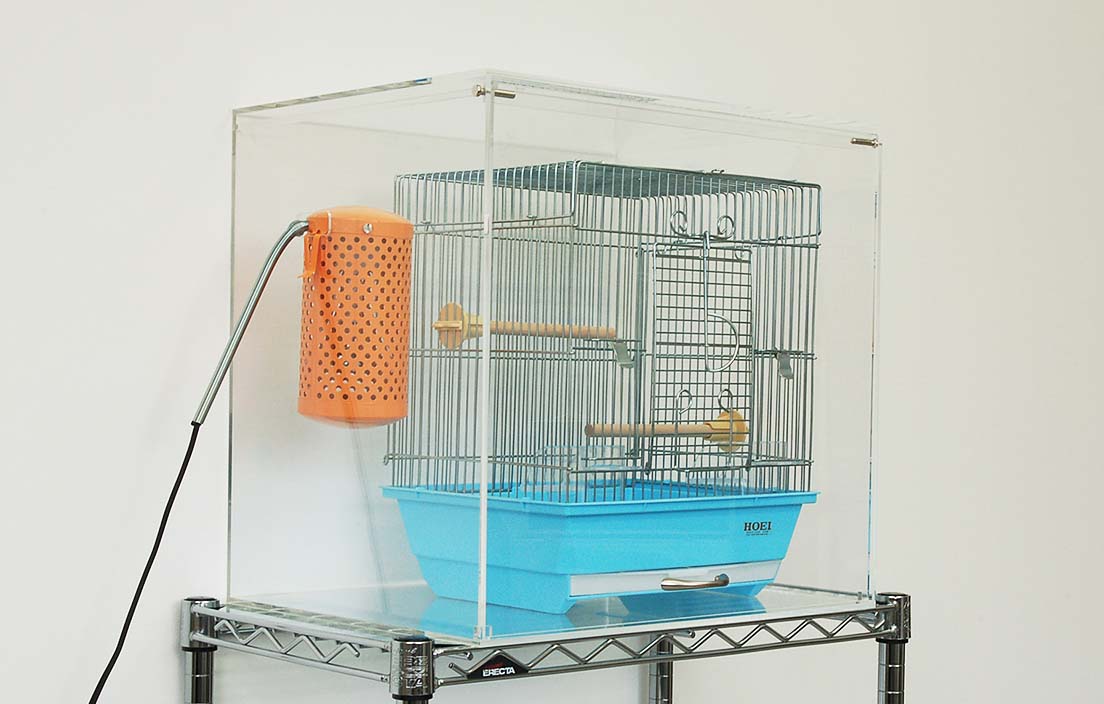 バードケージケース 扉付き セミオーダー | アクリ屋ドットコム