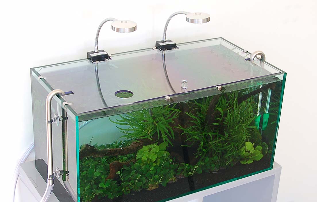 CrystySlim 600水槽 60cmクリスティスリム600 【楽天市場】水槽 60cm