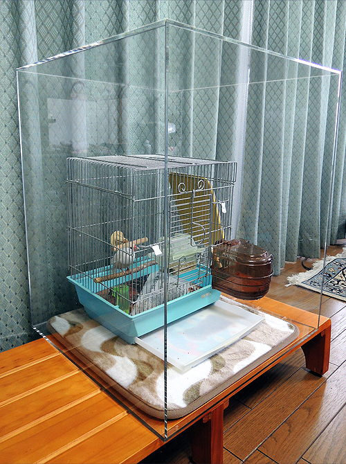 アクリル製 鳥用ケージカバー W535mm H640mm アクリル製 鳥用ケージ