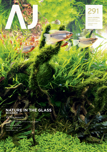 PUBLICATION & OTHERS LINEUP | ADA - PRODUCT