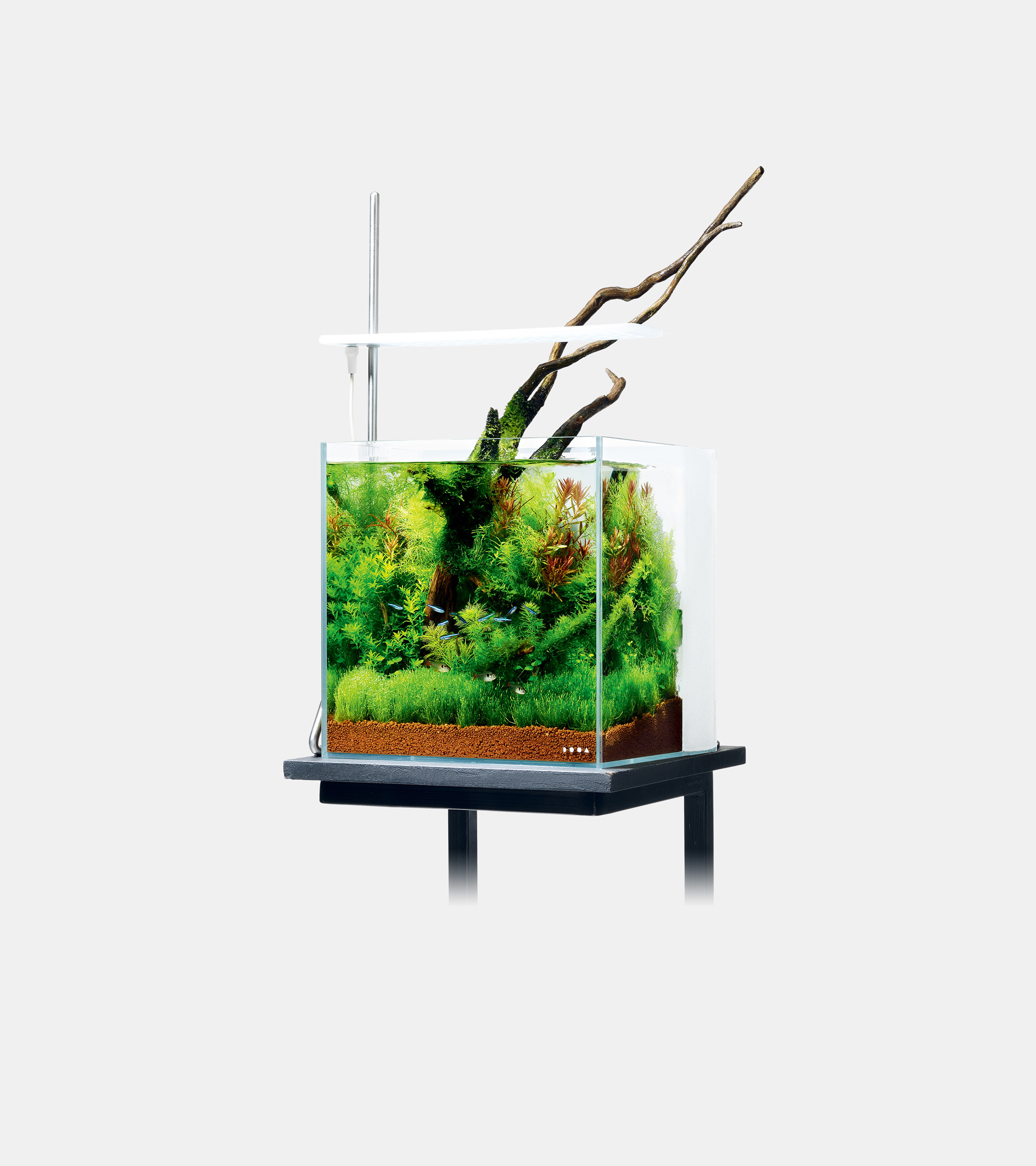 ADA 30cm キューブ水槽 セット