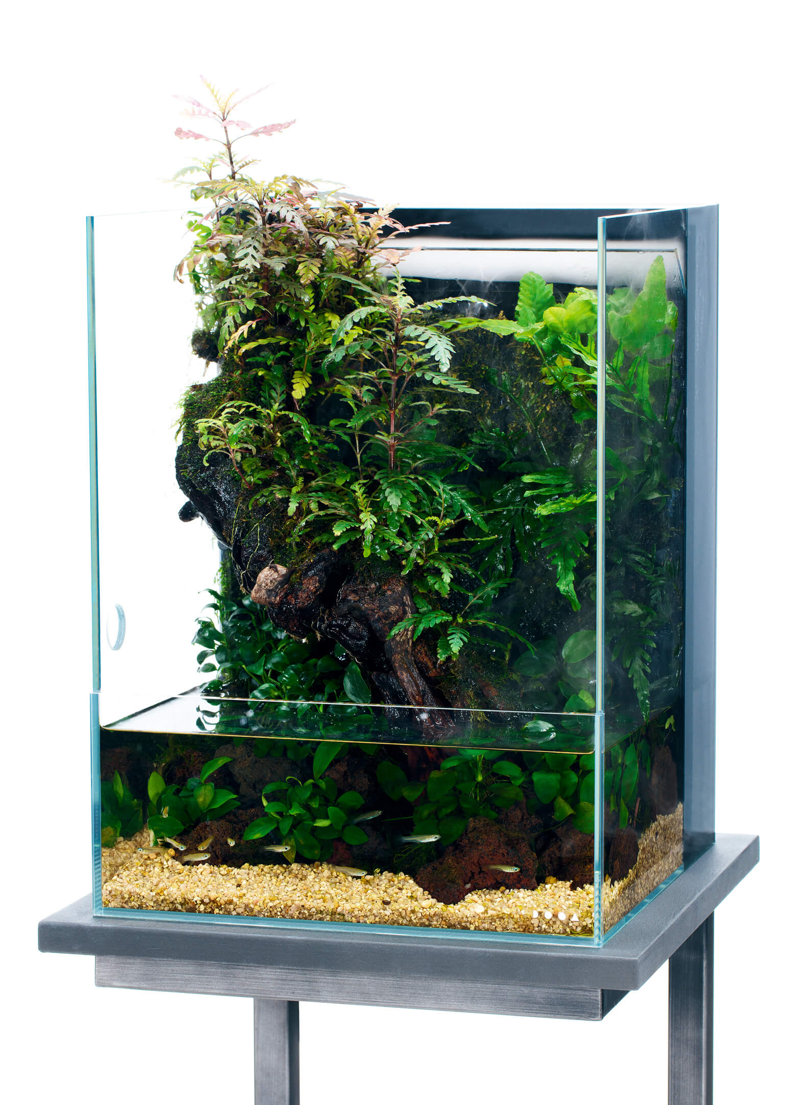 受注生産】滝のあるアクアテラリウム イモリウム 苔テラリウム アクア