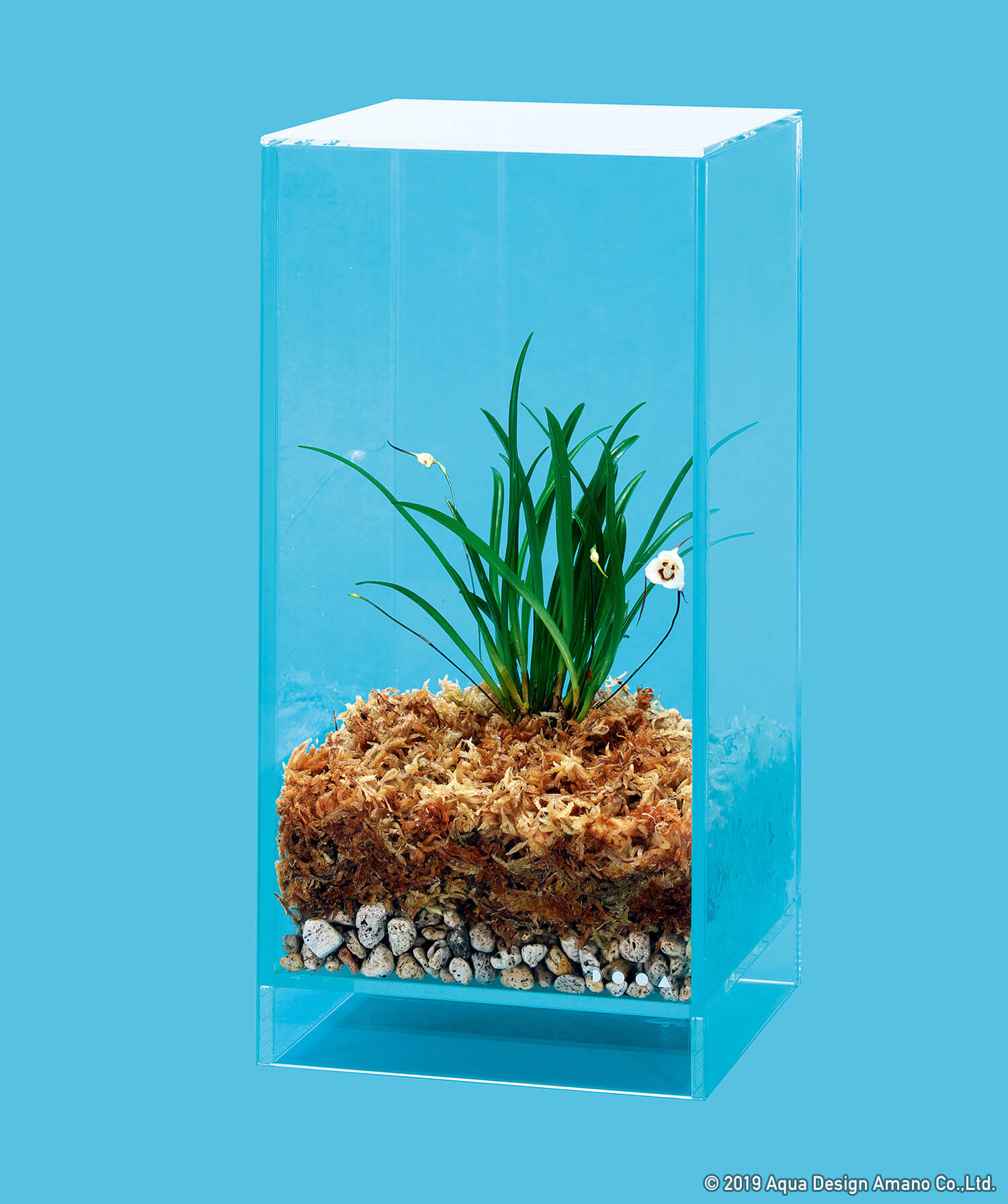 ADA LAB 限定 DOOA マグネットライトスタンド ネオグラスエア