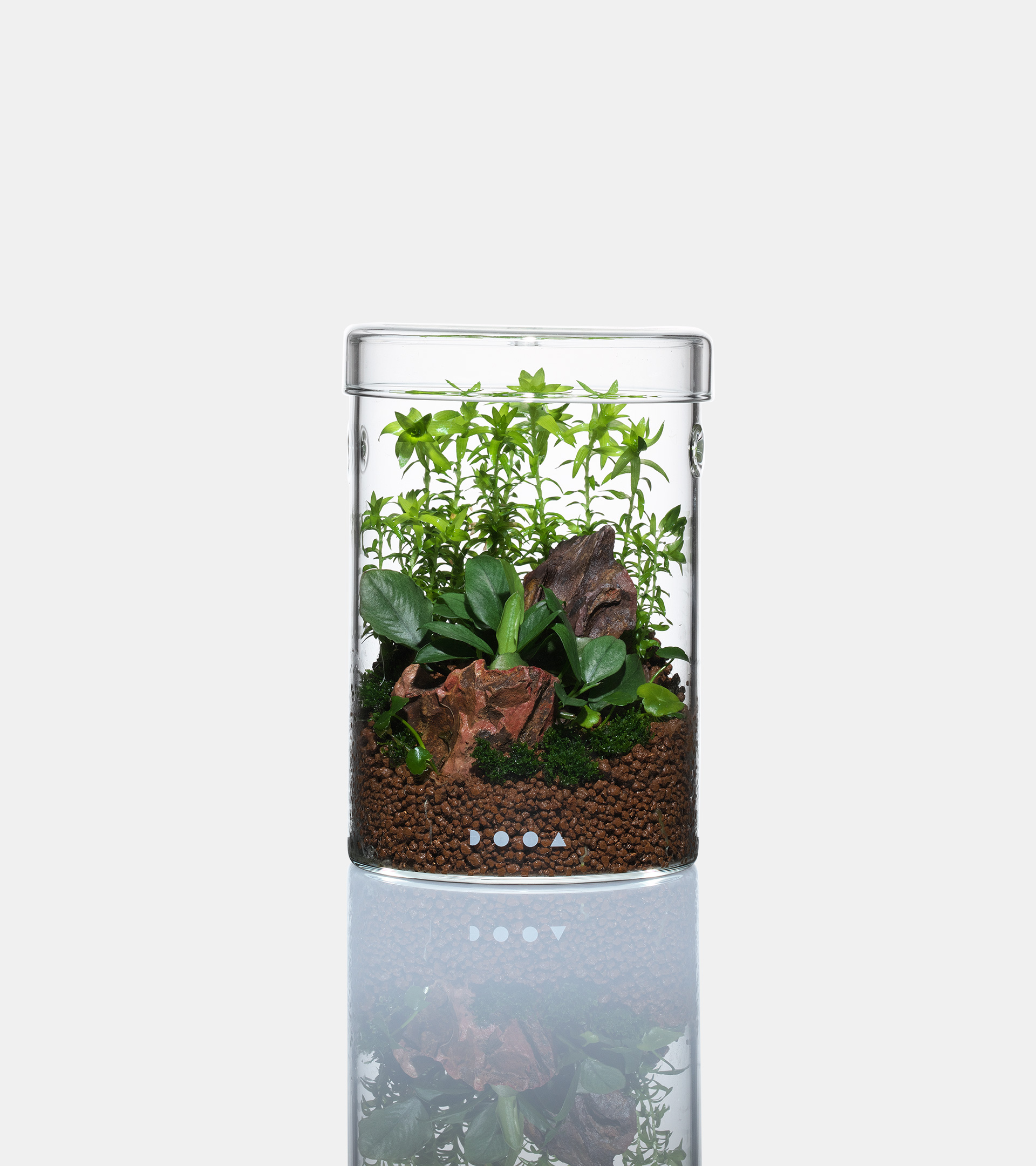 DOOA ガラスポット MARU95 通気穴無し 【廃盤】 3個セット GLASS POT