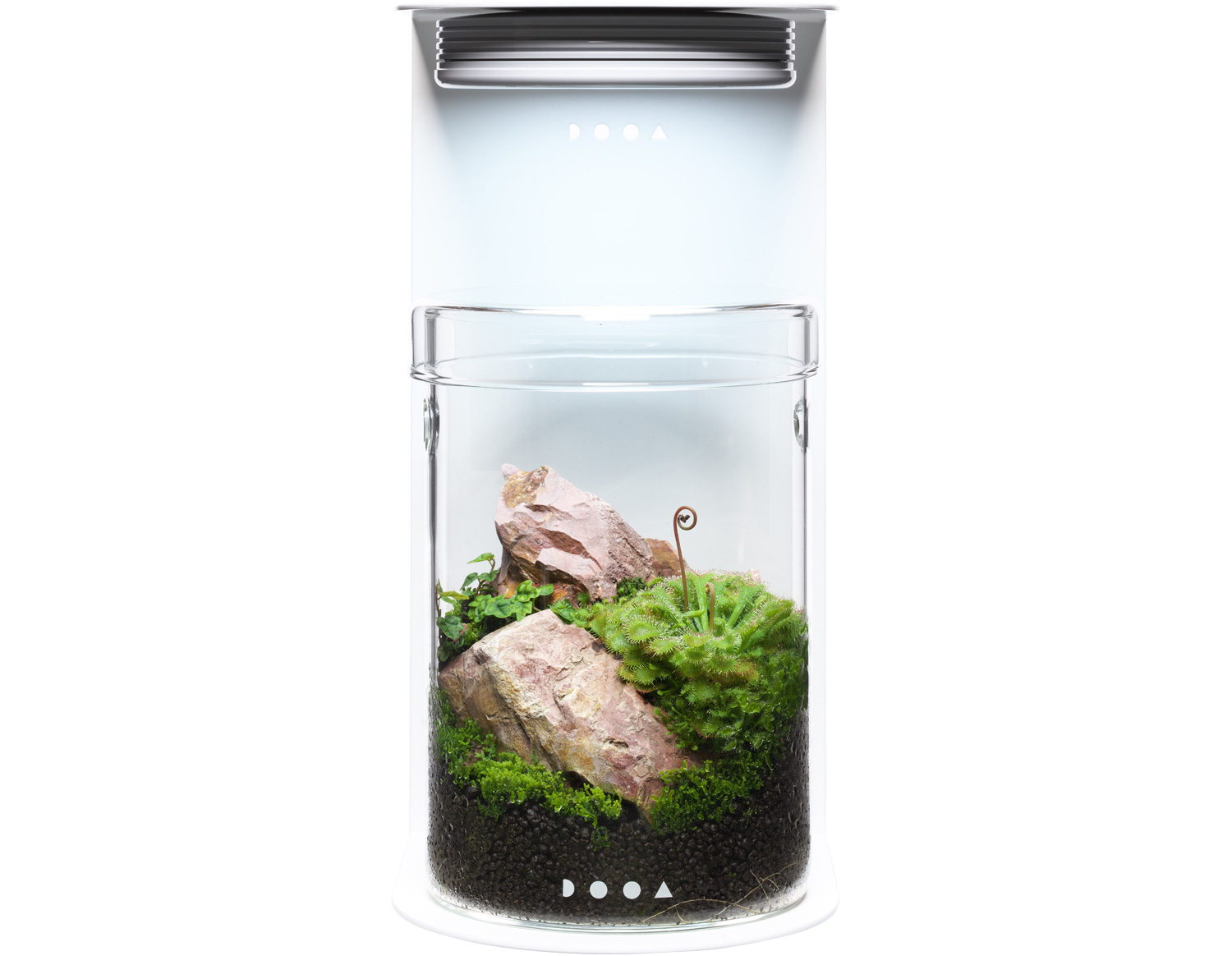 未使用 ADA オンライン パレングラス・ミニ CO2 ADA パレングラス