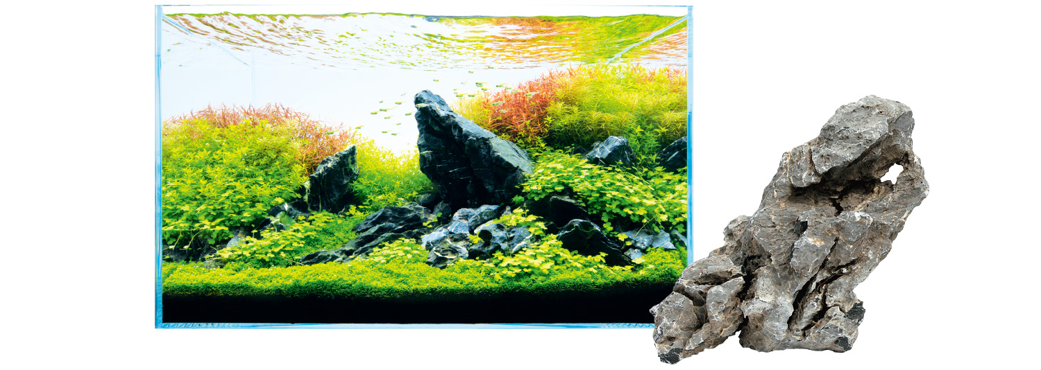 ADA 龍王石 水槽用石 ADA LAYOUT MATERIAL 「石」 | AQUA DESIGN AMANO