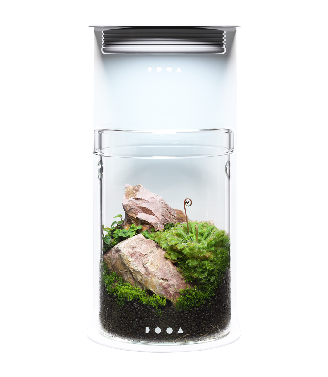 PRODUCTS | AQUA DESIGN AMANO