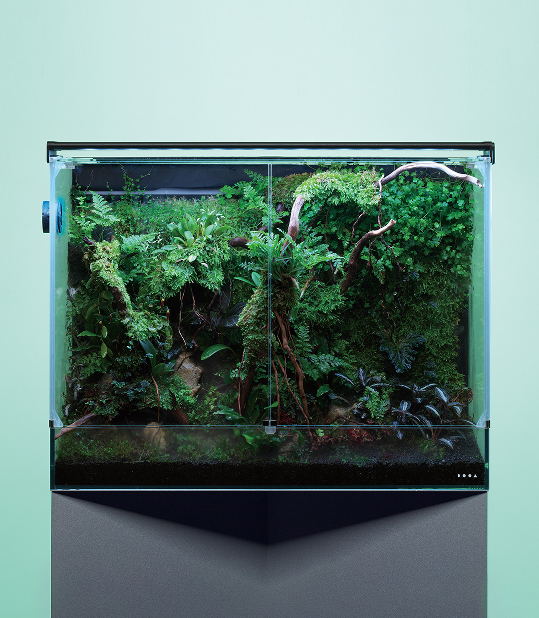 CREATOR WORKS ［ 森の交差点 ］ | AQUA DESIGN AMANO