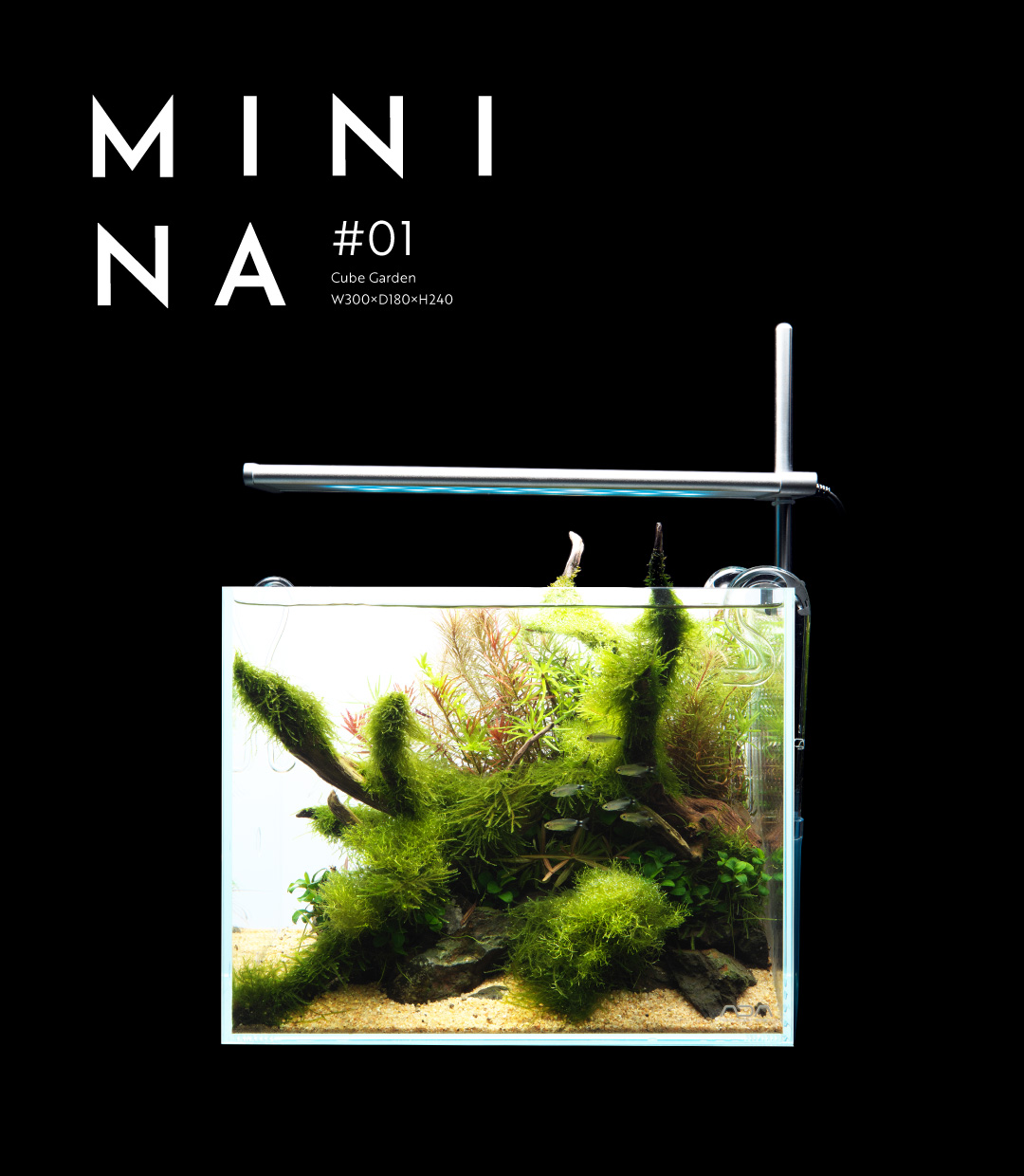 MINI NA_07 「CO2添加システムのワクワクとノウハウ」 | AQUA DESIGN AMANO