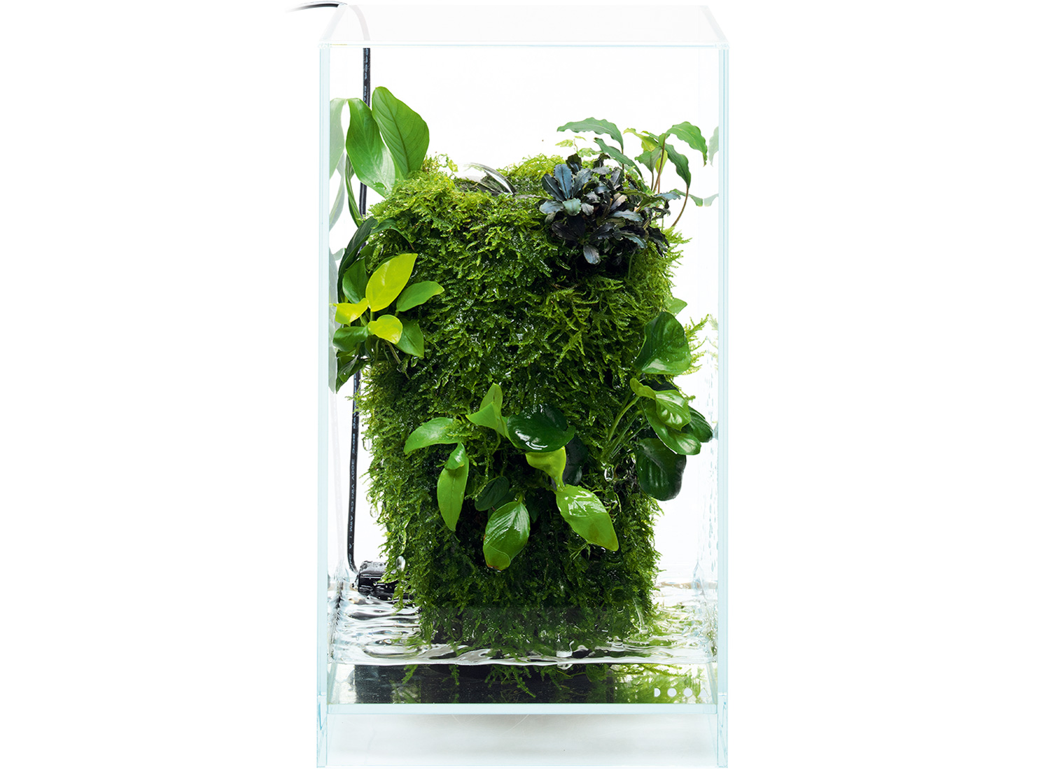 New Style Indoor Green – Style03 | AQUA DESIGN AMANO