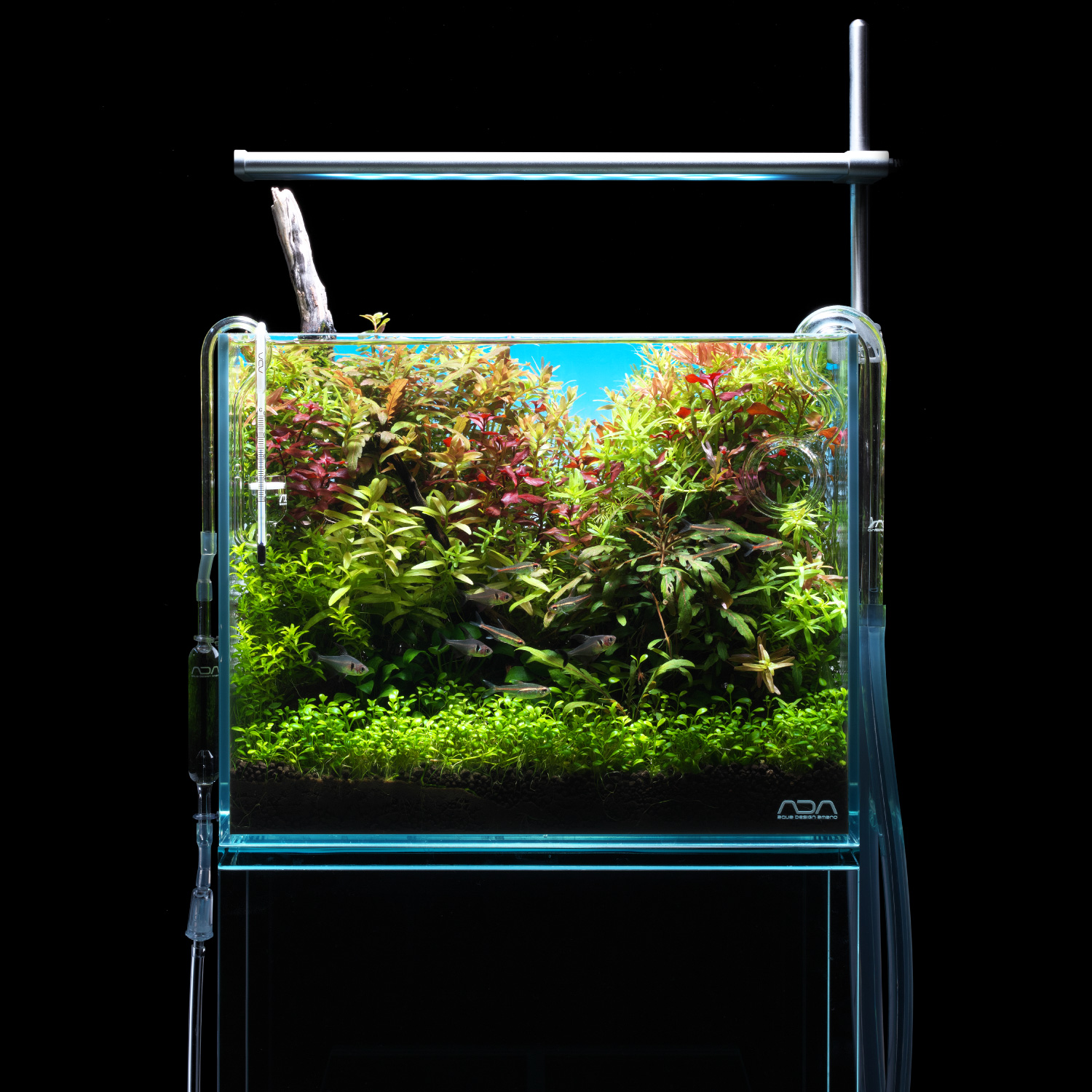 AQUA-U WIDE 黒 小型ガラス水槽セット GEX aquarista AQUA-U WIDE 2.0