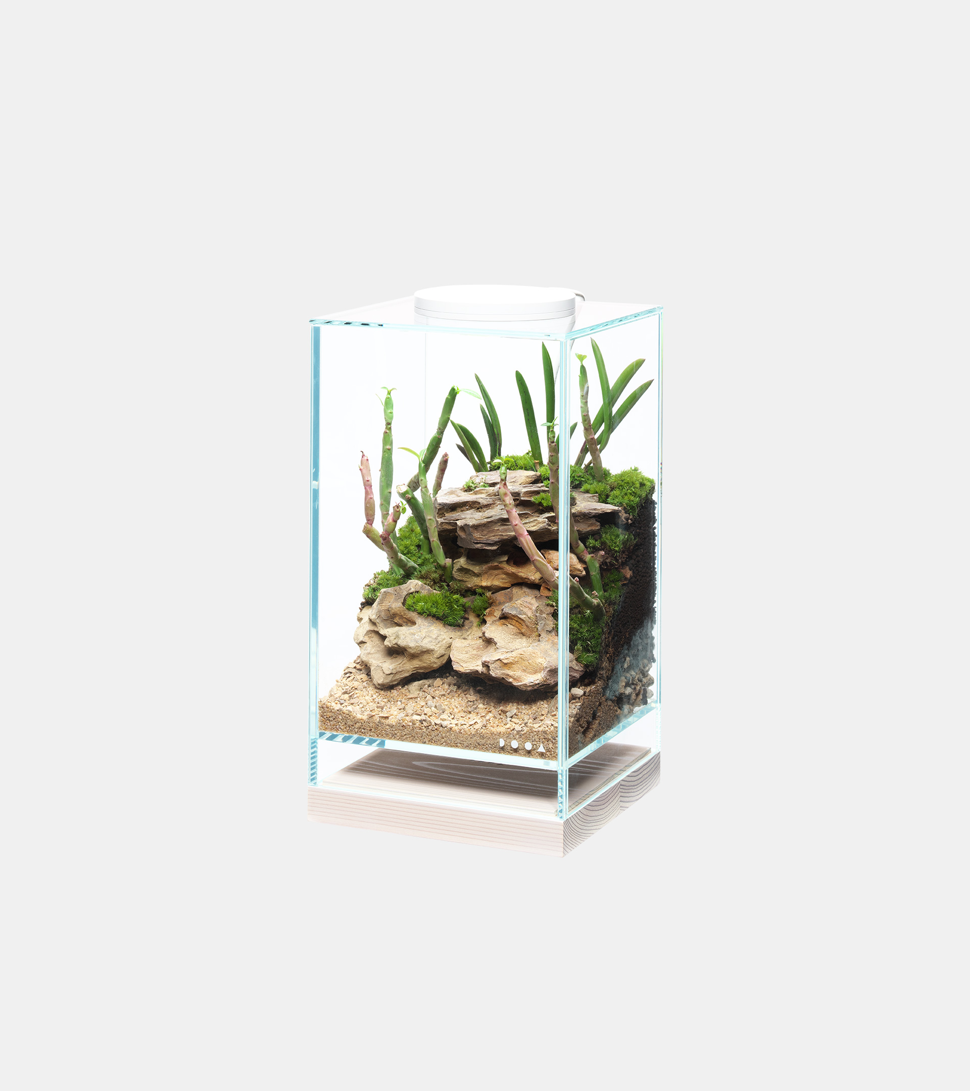 NEO GLASS WOOD BASE | PRODUCTS | DOOA