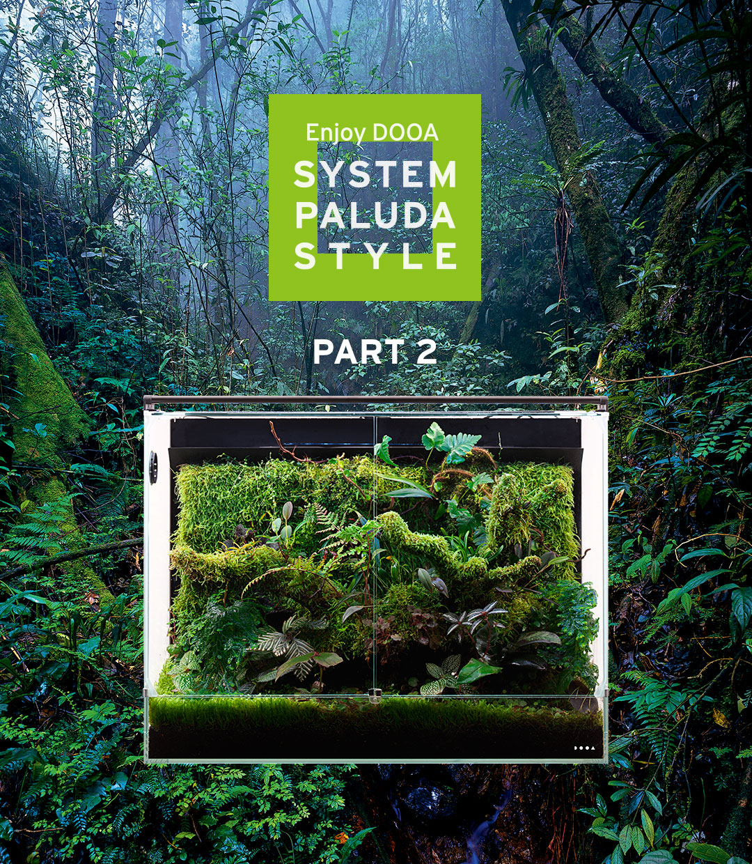 徹底解説「DOOA システムパルダ」PART 1 | AQUA DESIGN AMANO