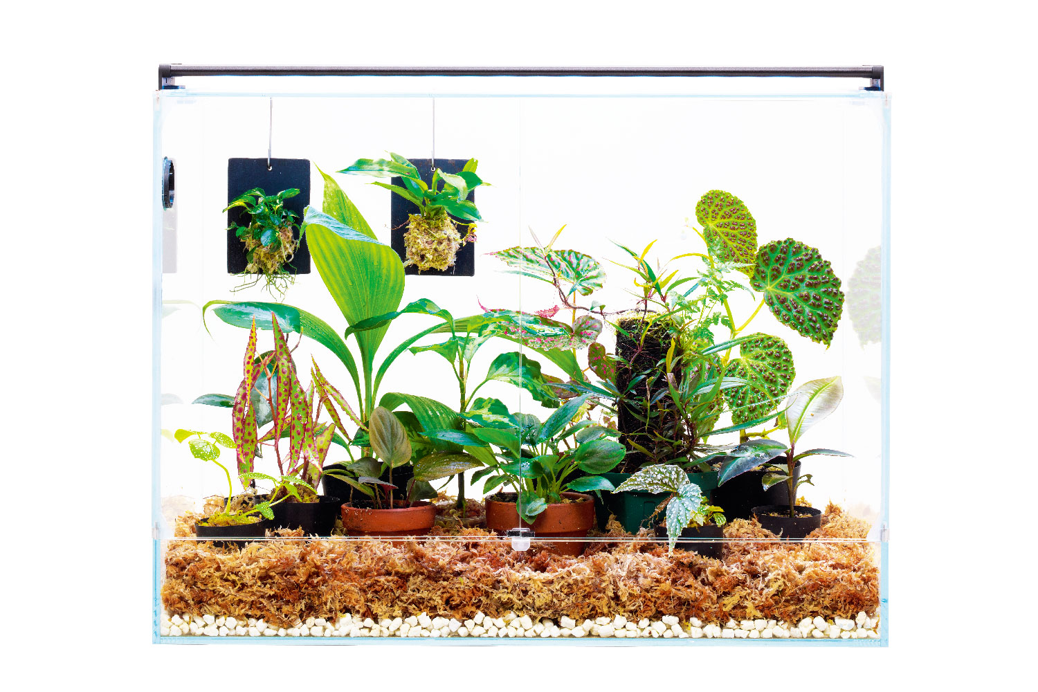 アクロ 水槽 スーパークリア」の人気商品一覧 | 安い商品を通販サイト