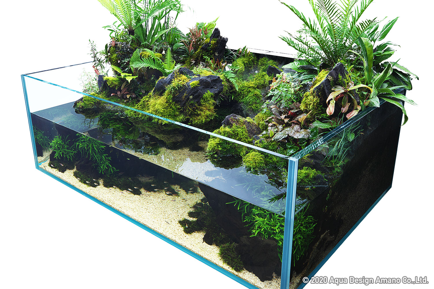 NATURE IN THE GLASS 「水はめぐる」PART 1 | AQUA DESIGN AMANO