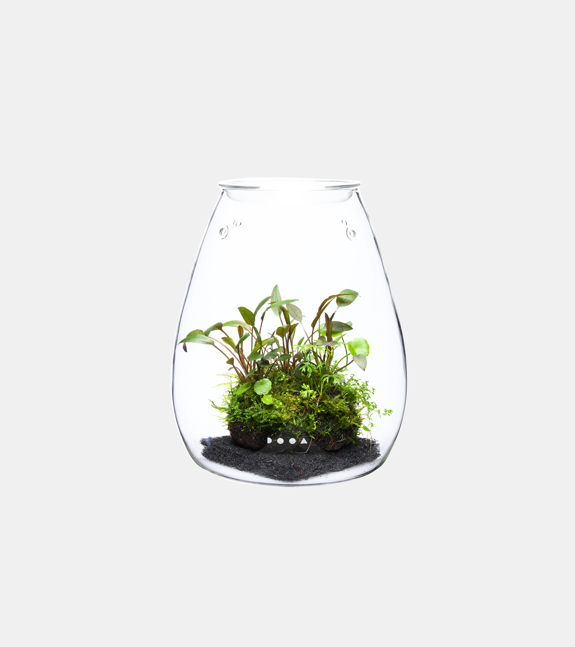 GLASS POT SHIZUKU | PRODUCTS | DOOA