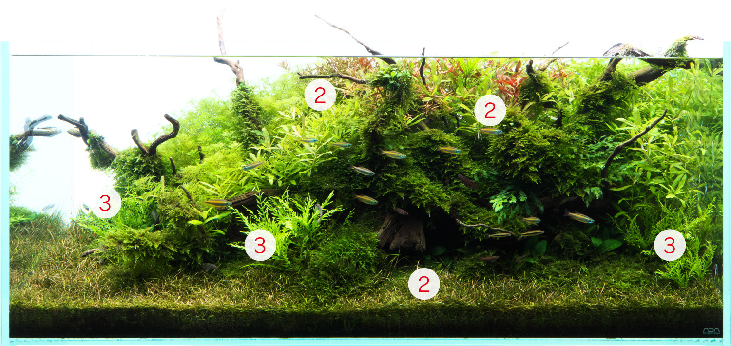 NATURE IN THE GLASS 「古木によりそう」 | AQUA DESIGN AMANO