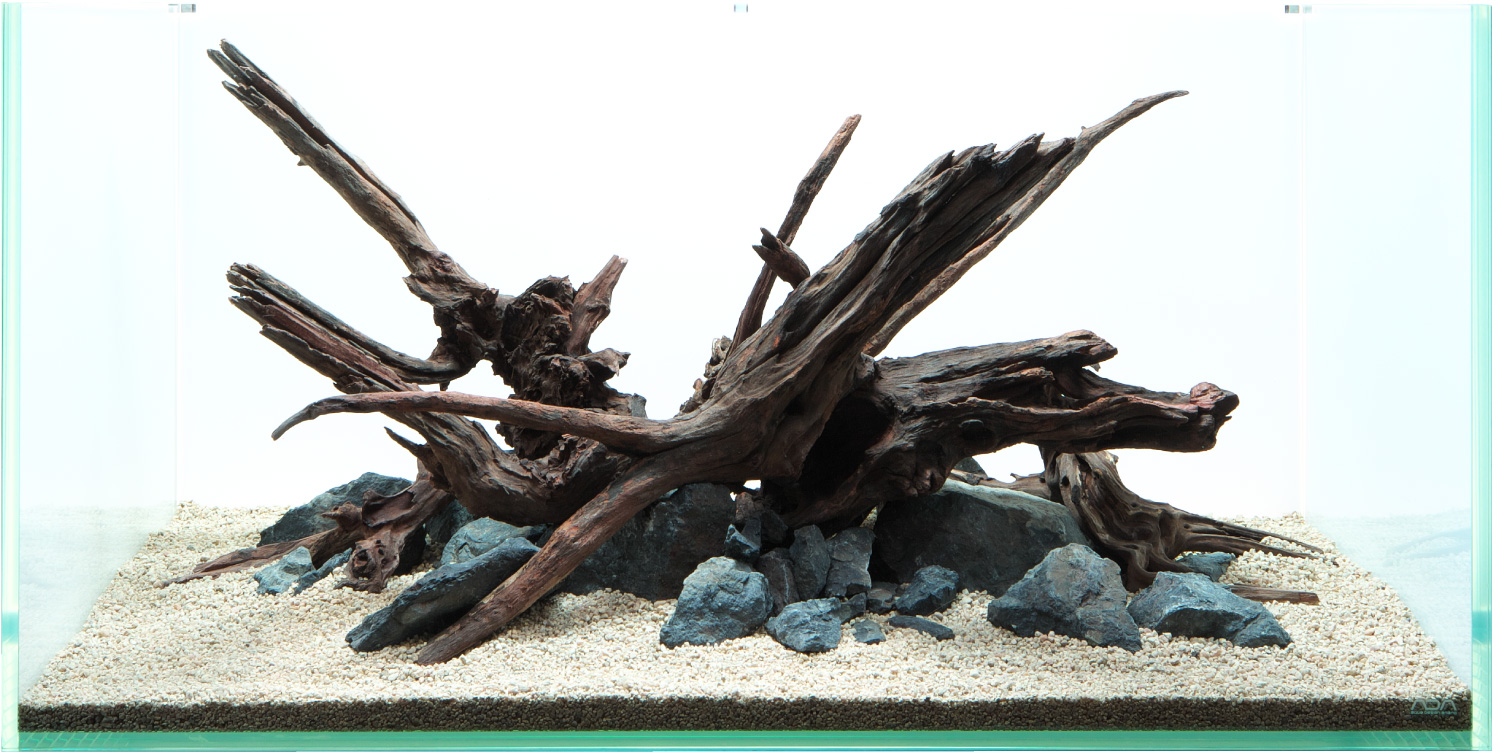 ADAホーンウッドADA山水石レイアウトセット流木