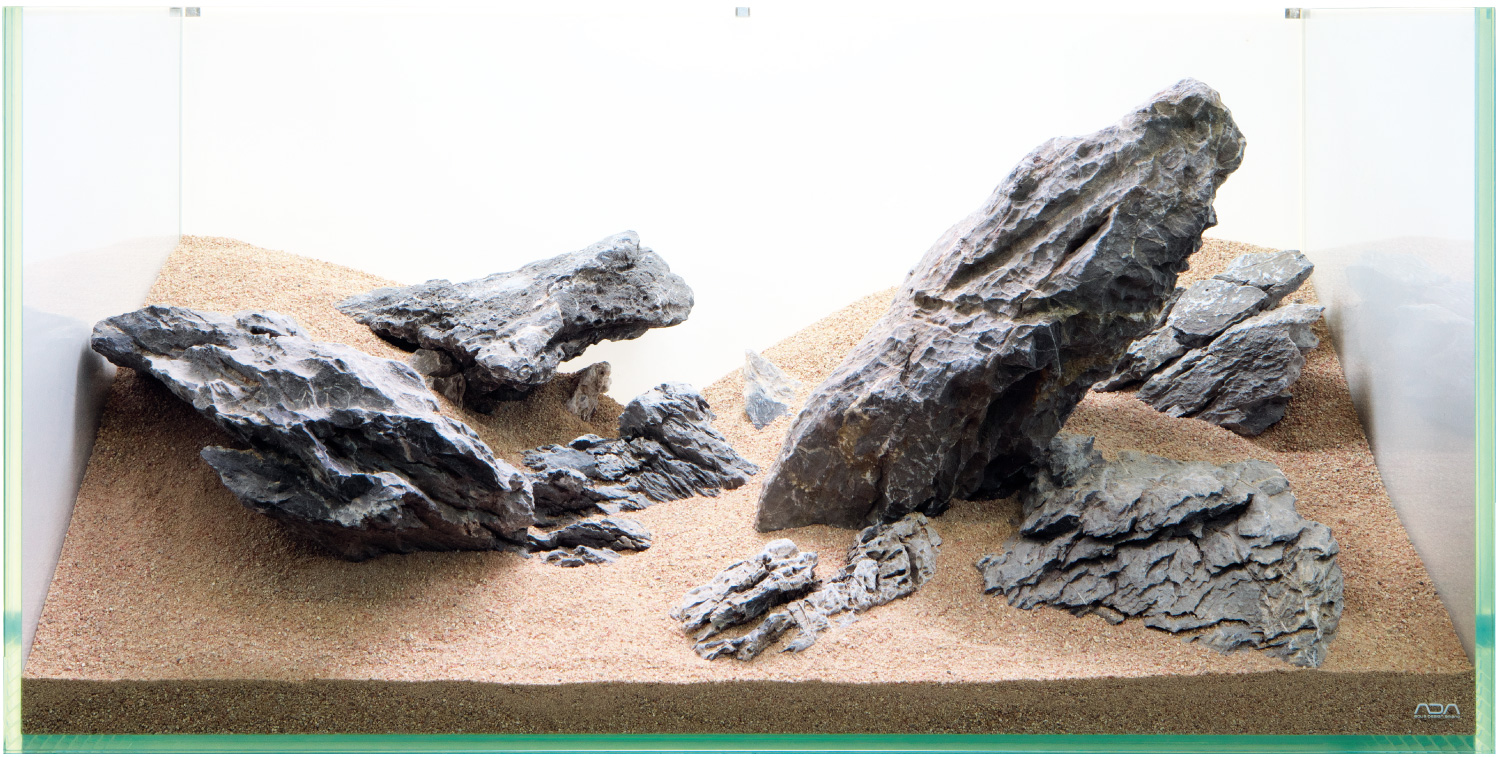 ADA Review 「水景クリエイターへの挑戦状 〜龍王石編〜」 | AQUA