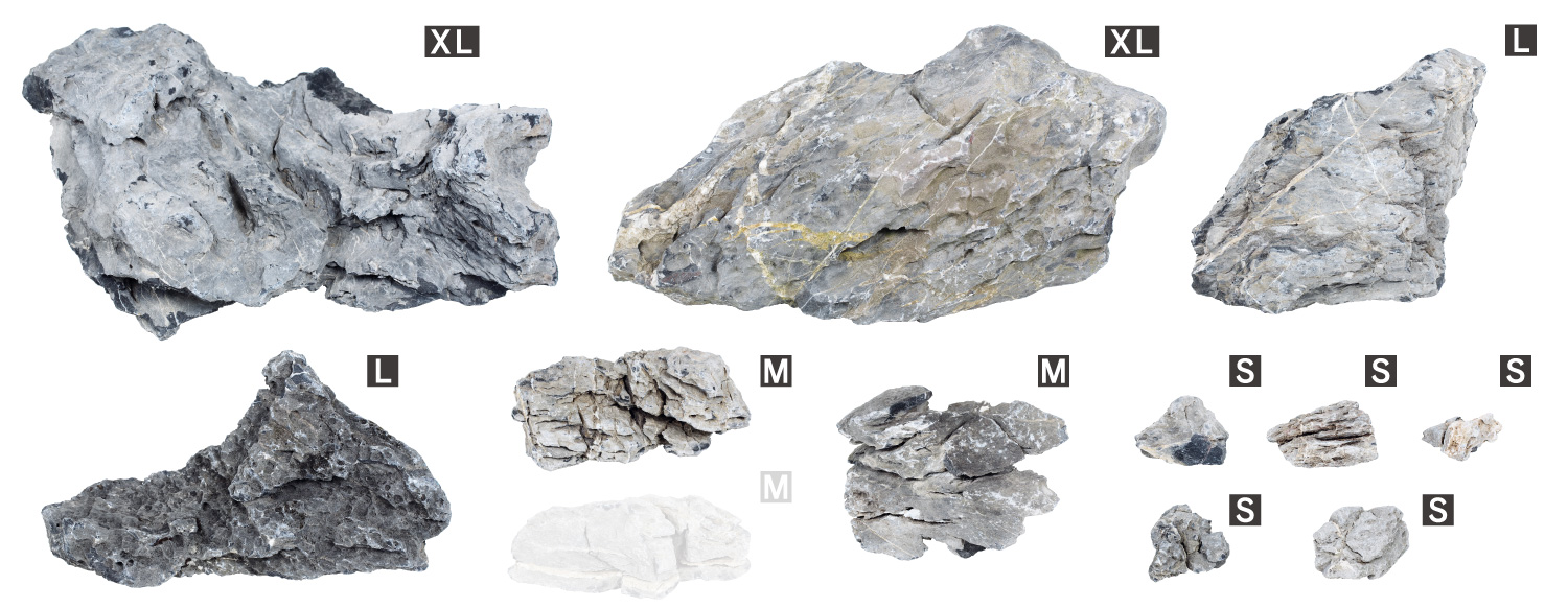 ADA Review 「水景クリエイターへの挑戦状 〜龍王石編〜」 | AQUA