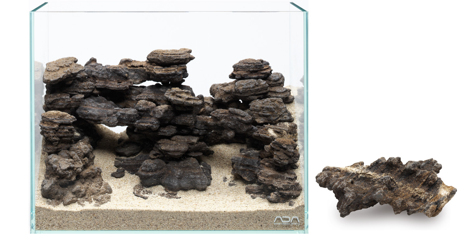 ADA NEW LAYOUT MATERIAL | en