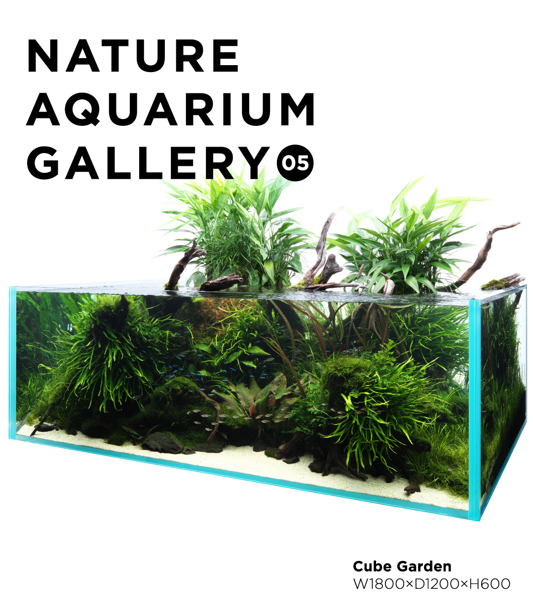 レイアウト用品 ADA POLLEN GLASS BEETLE 300(b ADA Pollen Glass