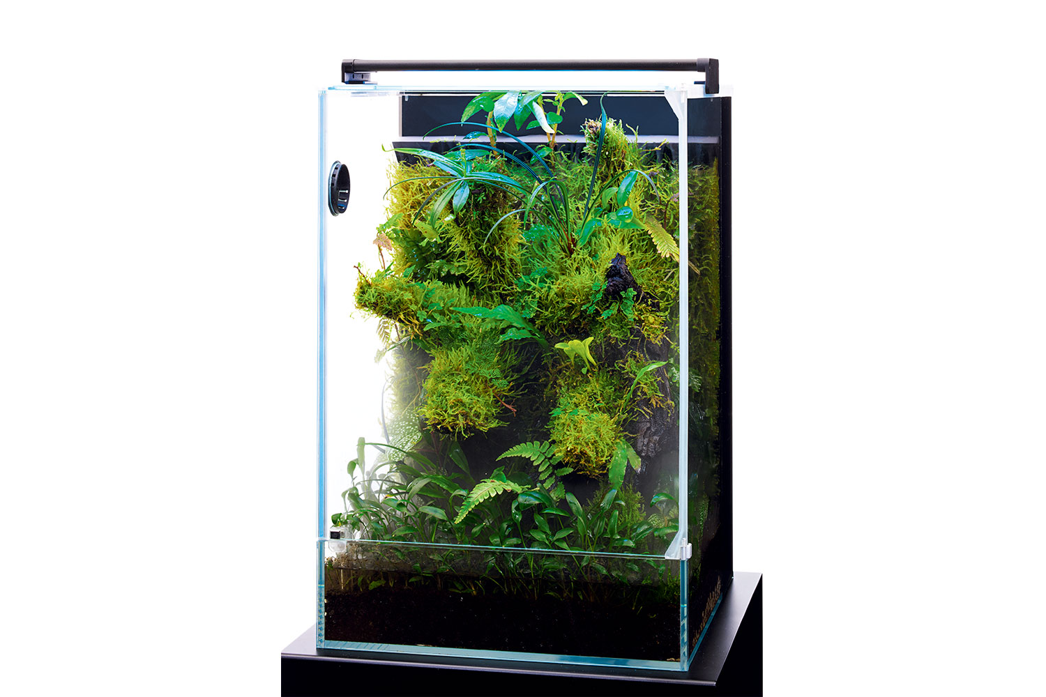 ADA Review 'Have a fun growing plants with various styles' | en