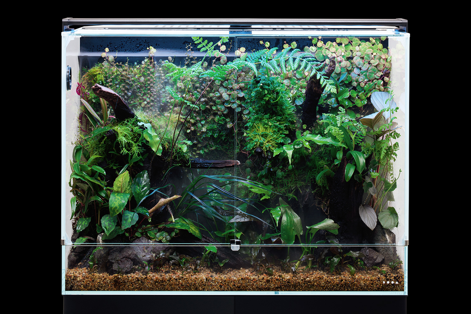 引き取りのみ dooa システムパルダ 30 引き取りのみ dooa システムパル