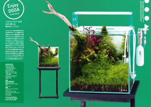 月刊アクアジャーナルVol.281 発売のお知らせ | ADA - NEWS RELEASE