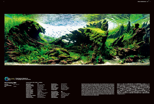 IAPLC 2024 作品集 発売のお知らせ | ADA - NEWS RELEASE