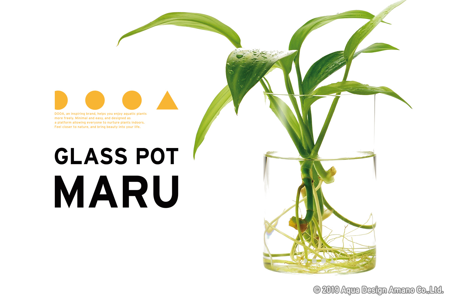 ガラスポット MARU リニューアル発売のお知らせ | ADA - NEWS RELEASE