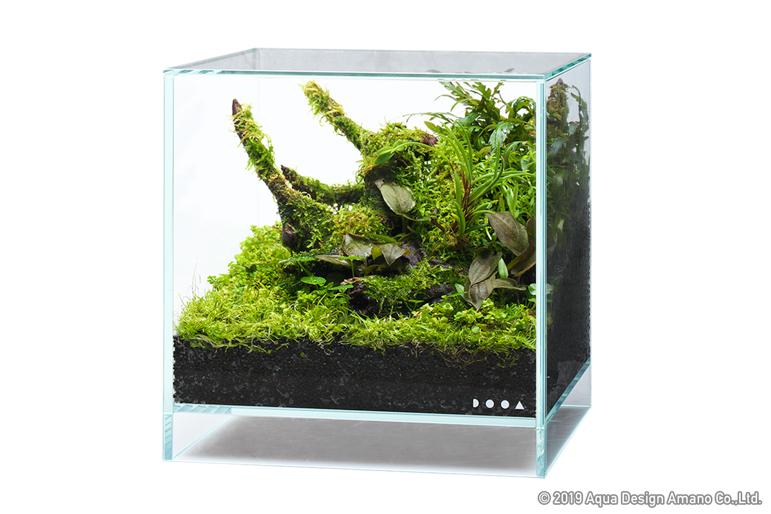 ADA DOOAパルダライト30 B SYSTEM PALUDA | PRODUCTS | DOOA ada dooa