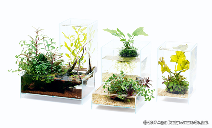 DOOAより新しい水槽「ネオグラス エア」先行発売 | ADA - NEWS RELEASE