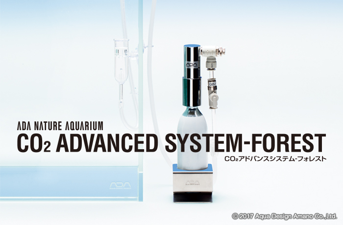 1/11・1/12まで限定価格！ ADA Co2フォレストボトル6本セット CO2