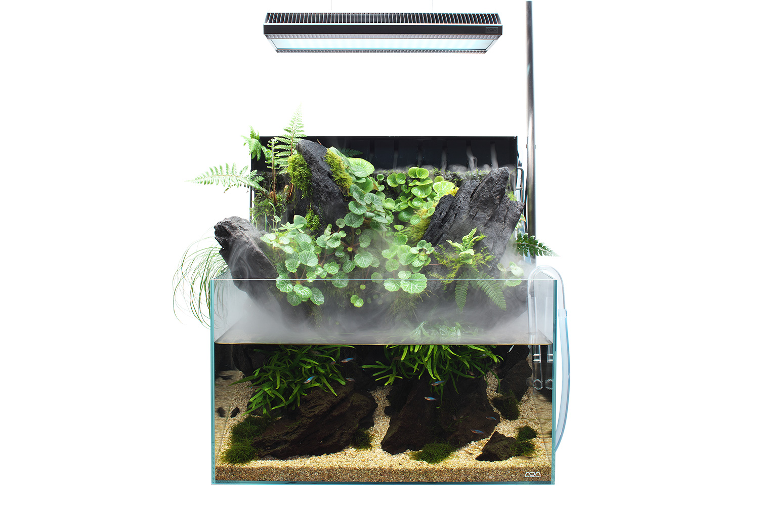 キューブガーデン新サイズ 発売のお知らせ | ADA - NEWS RELEASE